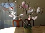 Pink orchids placed on a kitchen table. 